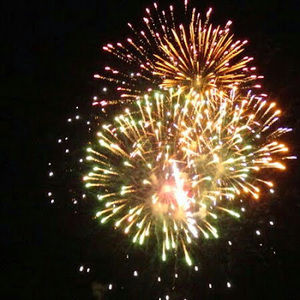 Meet your Posher, Suzanne